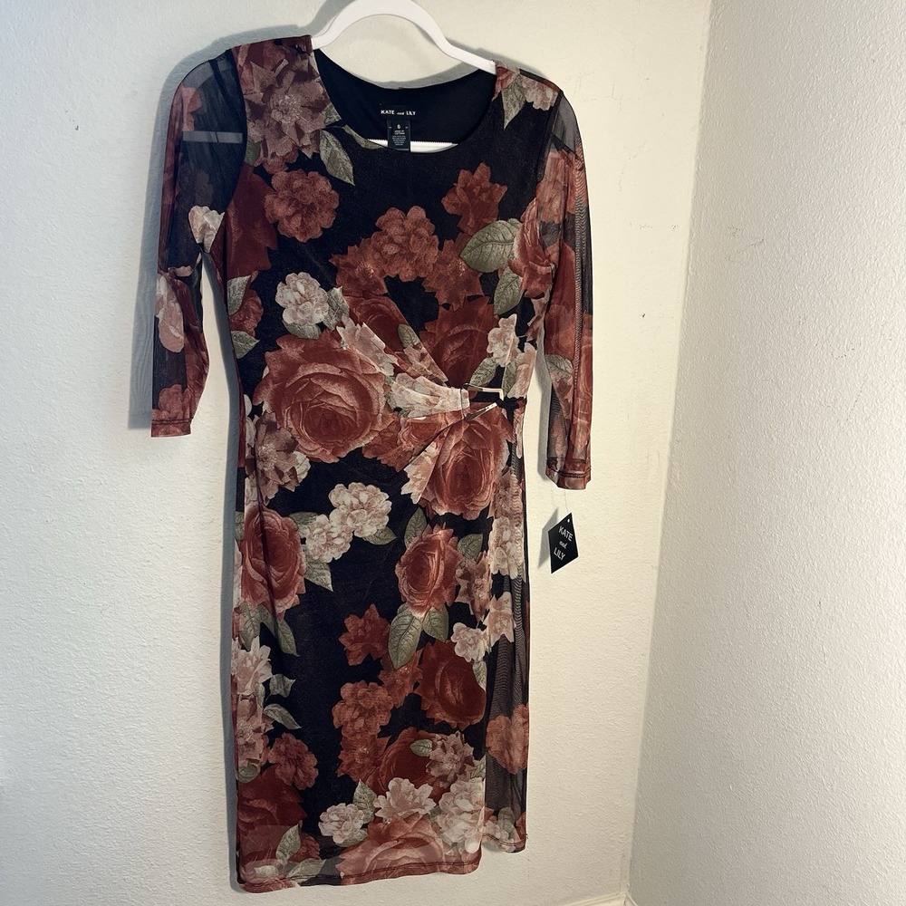 Kate + Lily Dress Women 6 Black Red Rose Floral Sheer Boho Fairy Whimsicore
